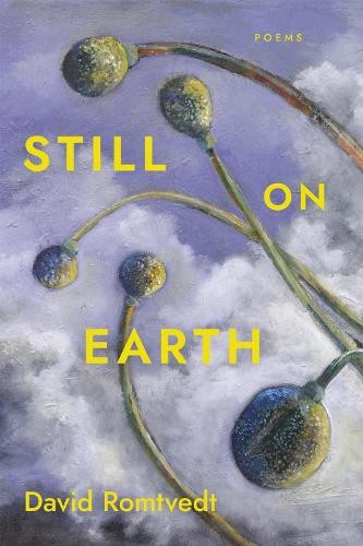 David romtvedt still earth - still,