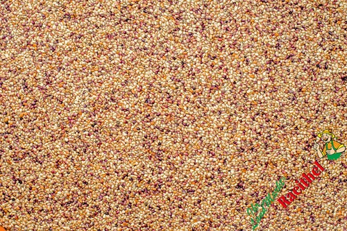 Rotklee 5 kg - 9,86€/kg),